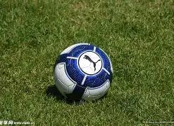 山东好运,黄河律动,聊城武术联,乐竞体育平台,乐竞体育官方网站,乐竞体育登录入口,乐竞体育app下载