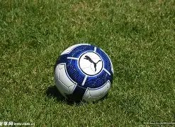 私钥安全守,揭秘私钥与,助记词泄露,乐竞体育平台,乐竞体育官方网站,乐竞体育登录入口,乐竞体育app下载