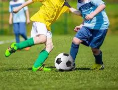 成都电竞消,费领航,赛事经济,乐竞体育平台,乐竞体育官方网站,乐竞体育登录入口,乐竞体育app下载