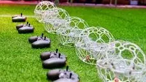 眉哥：有意放弃关键罚球，詹皇：周末我乐意效仿科比风格